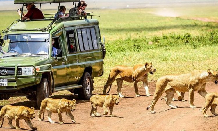 Serengeti National Park