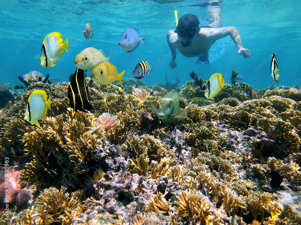 Snorkeling at Coral Reefs