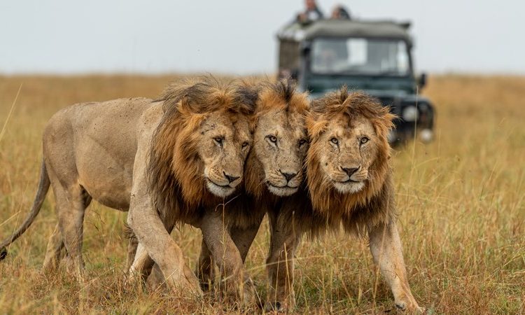 Serengeti National Park