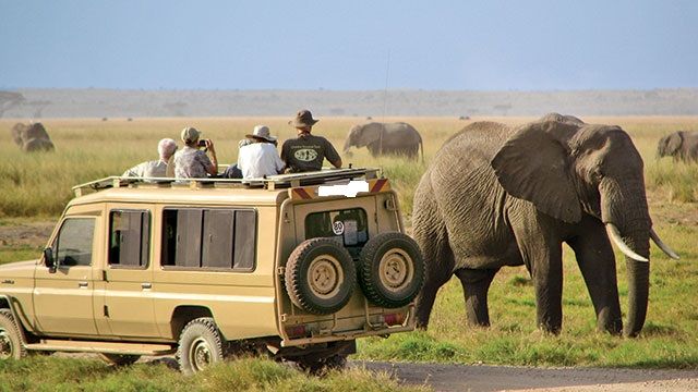 Crater Game Drive