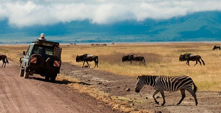 Ngorongoro Sopa Lodge