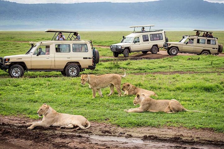 Ngorongoro Crater