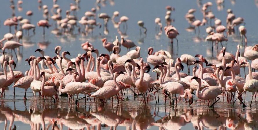 Lake Manyara