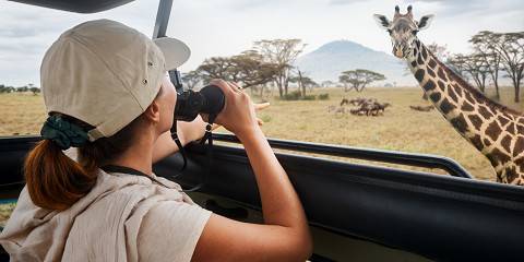 Mikumi National Park