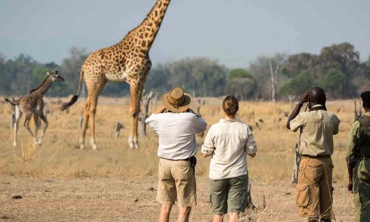 Arusha National Park