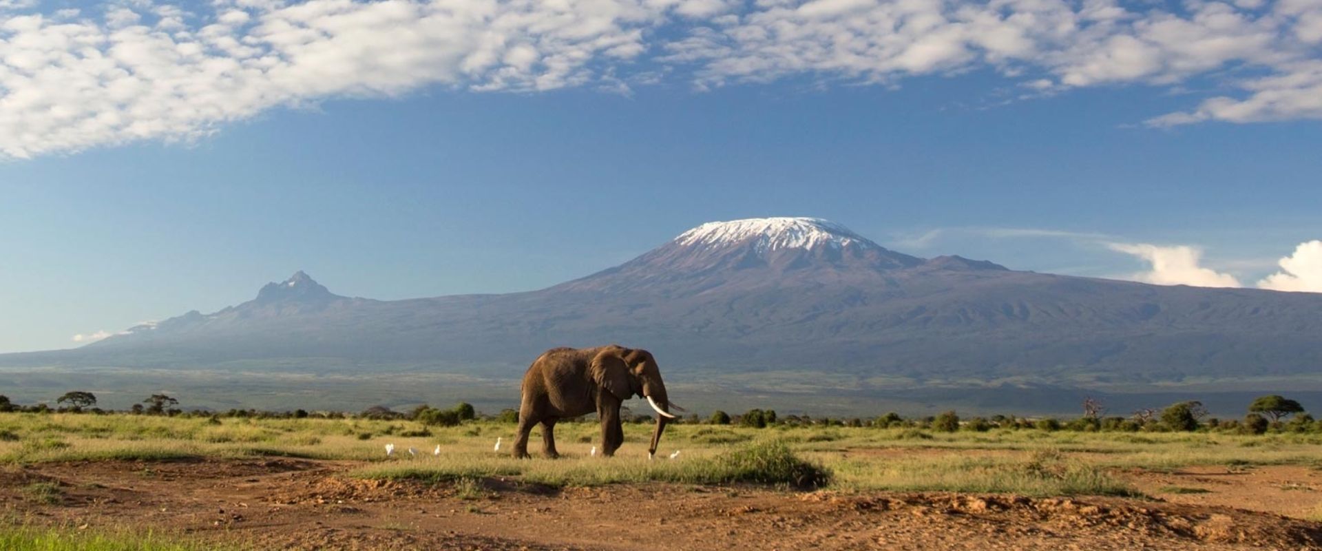 Mount Kilimanjaro